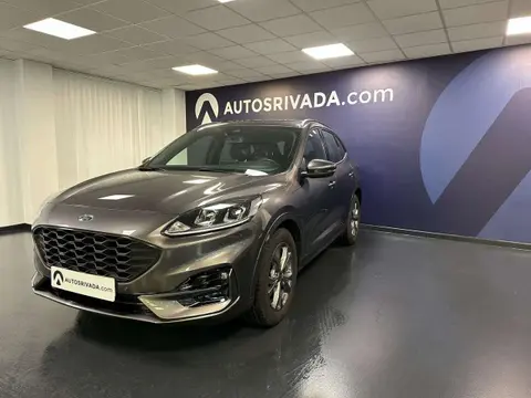 Used FORD KUGA Petrol 2023 Ad 