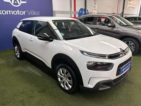 Annonce CITROEN C4 Diesel 2020 d'occasion 