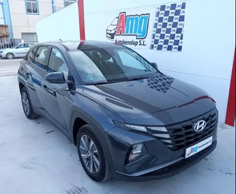 Annonce HYUNDAI TUCSON Essence 2023 d'occasion 