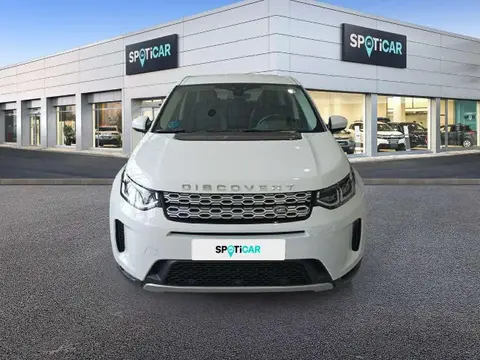 Used LAND ROVER DISCOVERY Diesel 2021 Ad 