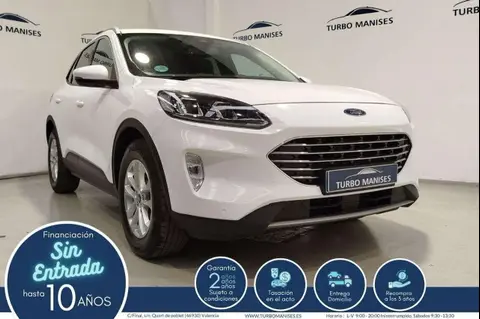 Used FORD KUGA Diesel 2023 Ad 