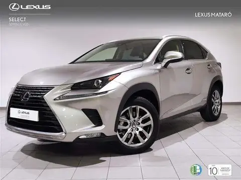 Used LEXUS NX Hybrid 2018 Ad 