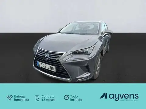 Annonce LEXUS NX Hybride 2019 d'occasion 