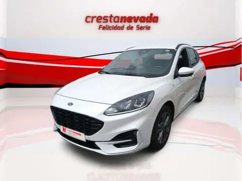 Used FORD KUGA Hybrid 2021 Ad 