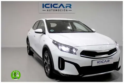 Used KIA XCEED Petrol 2022 Ad 