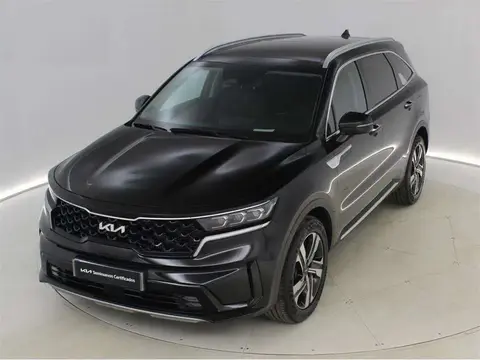 Annonce KIA SORENTO  2024 d'occasion 