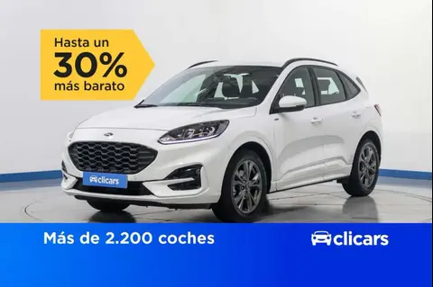 Used FORD KUGA Petrol 2022 Ad 