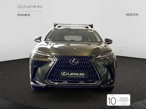 Annonce LEXUS NX Hybride 2024 d'occasion 