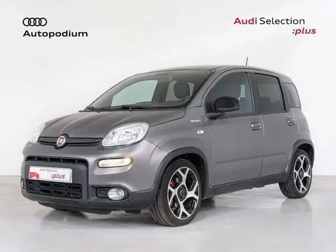 Used FIAT PANDA Petrol 2021 Ad 