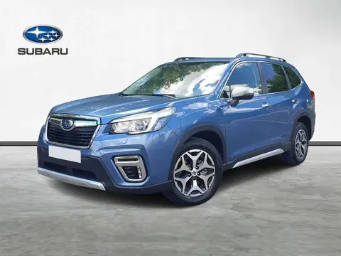 Annonce SUBARU FORESTER Hybride 2021 d'occasion 