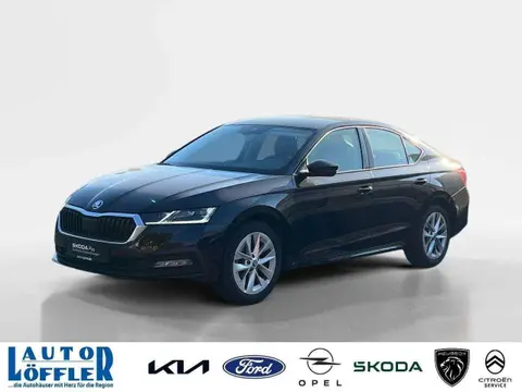 Used SKODA OCTAVIA Diesel 2021 Ad 