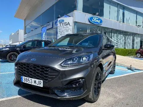 Used FORD KUGA Petrol 2023 Ad 