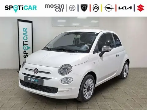 Used FIAT 500 Petrol 2023 Ad 