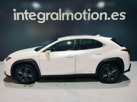 Used LEXUS UX Hybrid 2021 Ad 