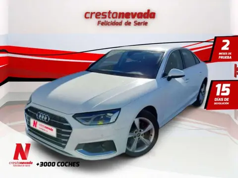 Used AUDI A4 Hybrid 2021 Ad 