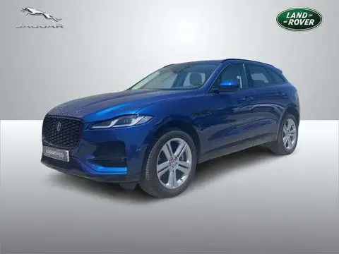 Used JAGUAR F-PACE Hybrid 2022 Ad 