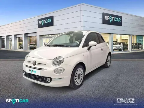 Used FIAT 500 Petrol 2023 Ad 