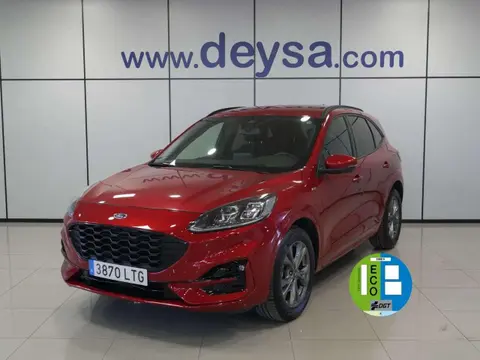 Used FORD KUGA Diesel 2021 Ad 