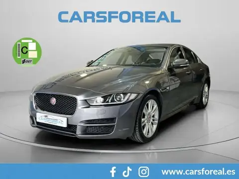 Used JAGUAR XE Diesel 2019 Ad 