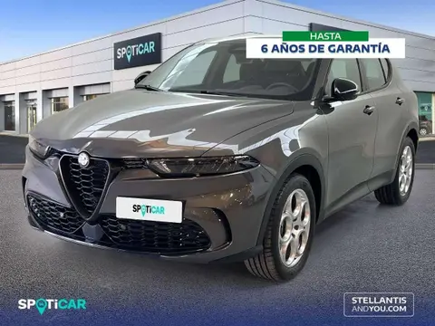 Annonce ALFA ROMEO TONALE Diesel 2023 d'occasion 