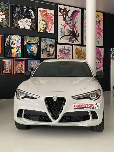 Used ALFA ROMEO STELVIO Petrol 2019 Ad 