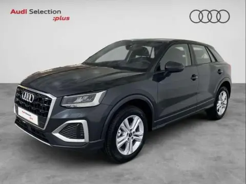 Annonce AUDI Q2 Essence 2024 d'occasion 