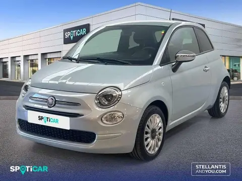 Used FIAT 500 Petrol 2023 Ad 