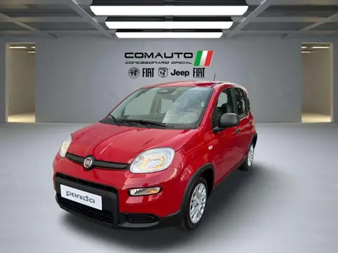 Annonce FIAT PANDA Essence 2024 d'occasion 