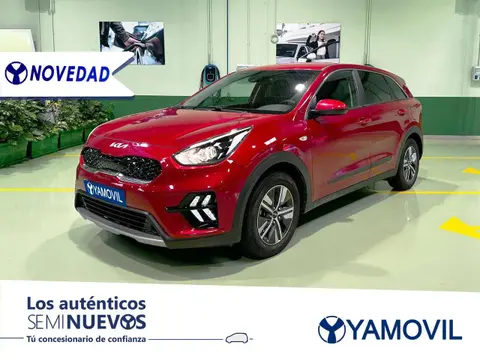 Annonce KIA NIRO Hybride 2022 d'occasion 