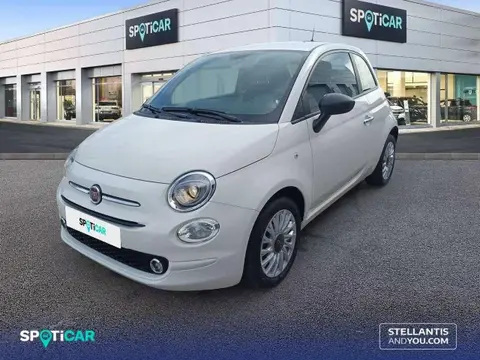 Used FIAT 500 Petrol 2023 Ad 