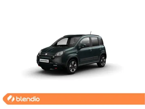 Used FIAT PANDA Hybrid 2024 Ad 