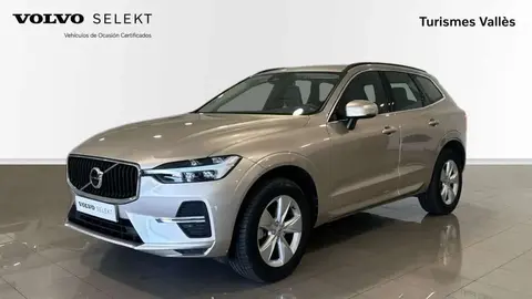 Annonce VOLVO XC60 Diesel 2023 d'occasion 