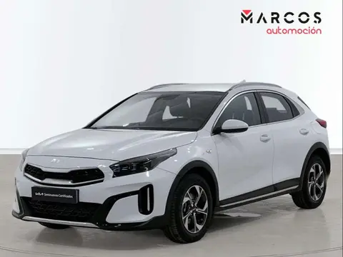 Annonce KIA XCEED Essence 2022 d'occasion 