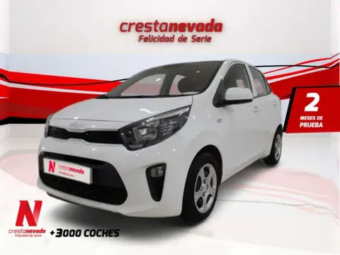 Annonce KIA PICANTO Essence 2023 d'occasion 