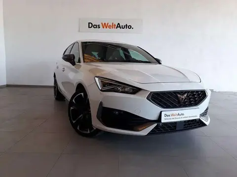 Used CUPRA LEON Petrol 2024 Ad 