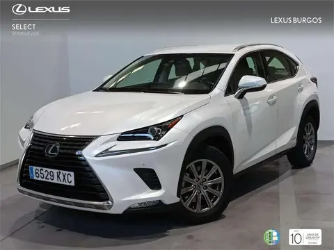 Annonce LEXUS NX Hybride 2019 d'occasion 