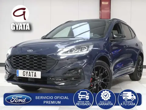 Used FORD KUGA Hybrid 2024 Ad 