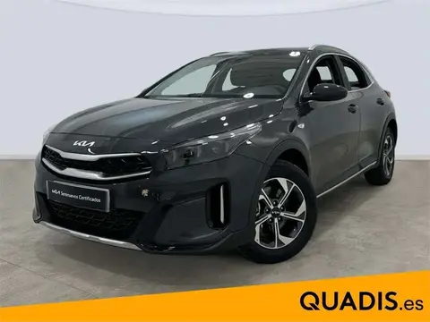 Used KIA XCEED Petrol 2024 Ad 