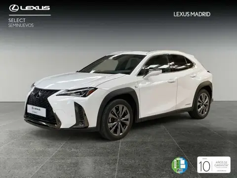 Annonce LEXUS UX Hybride 2024 d'occasion 