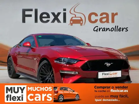 Used FORD MUSTANG Petrol 2019 Ad 