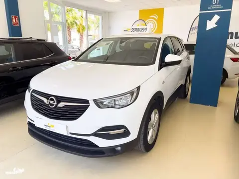 Used OPEL GRANDLAND Diesel 2019 Ad 