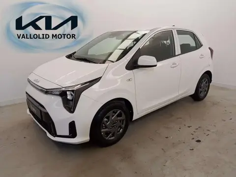 Annonce KIA PICANTO Essence 2024 d'occasion 