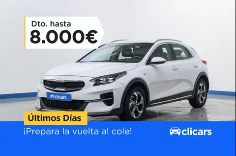 Annonce KIA XCEED Essence 2022 d'occasion 