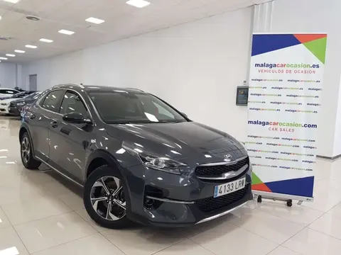 Used KIA CEED Petrol 2021 Ad 