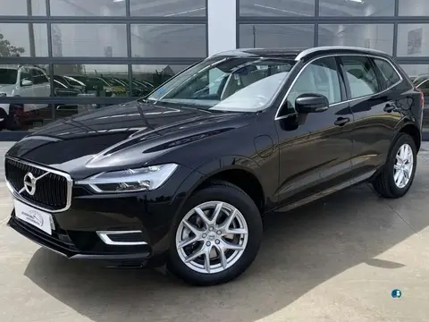 Used VOLVO XC60 Hybrid 2019 Ad 