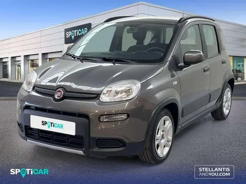 Annonce FIAT PANDA Essence 2022 d'occasion 