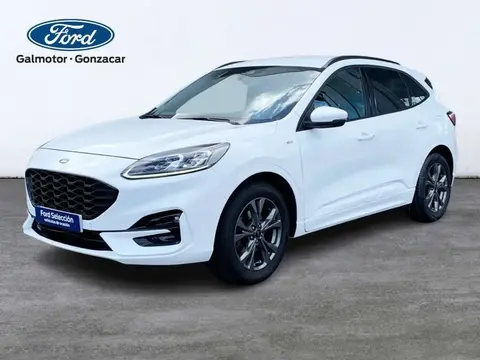 Used FORD KUGA Petrol 2021 Ad 