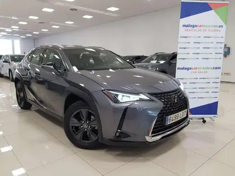 Annonce LEXUS UX Hybride 2022 d'occasion 