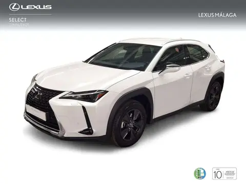 Annonce LEXUS UX Hybride 2023 d'occasion 