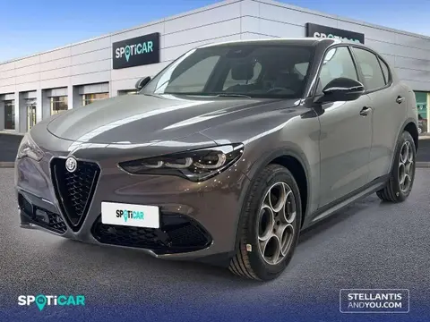 Annonce ALFA ROMEO STELVIO Diesel 2023 d'occasion 